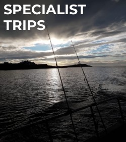 Specialist Trips